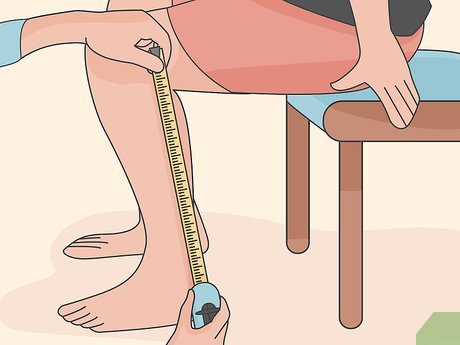 Rainforest Trial Program